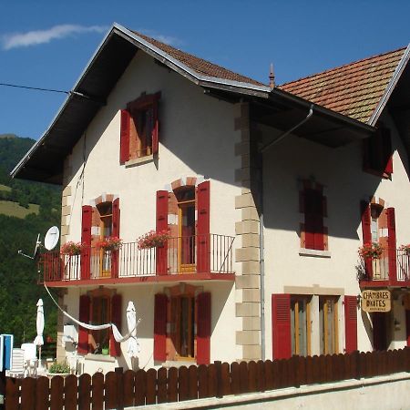 L'Horizon Des Alpes Bed and Breakfast Le Petit-Bornand-les-Glieres Buitenkant foto